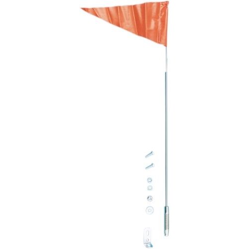 Flag with Telescoping Pole