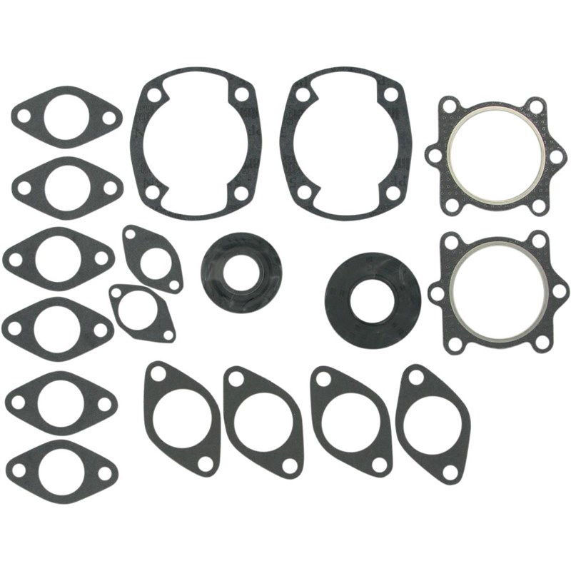 Details about   Gasket Set With Oil Seals~1993 Arctic Cat Jag Deluxe Winderosa 711060A 