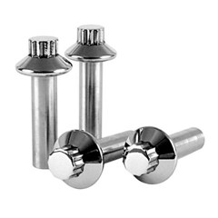 12-Point Polished Stainless Steel Headbolts