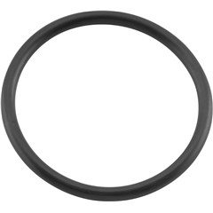 Air Cleaner Adaptor O-Ring