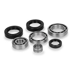 Differential Bearing and Seal Kits