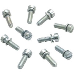 Slotted Screws with Lock Washer