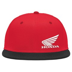 Wing Snap Back Hat