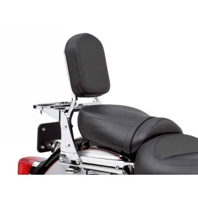 Passenger Backrest | 2005 Kawasaki VULCAN® 1500 CLASSIC