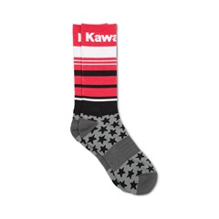 Kawasaki Star Socks