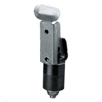 Lock & Ride® Expansion Anchor w/ Mount