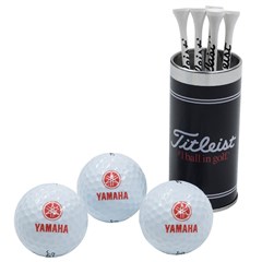 Golf Ball & T Gift Set