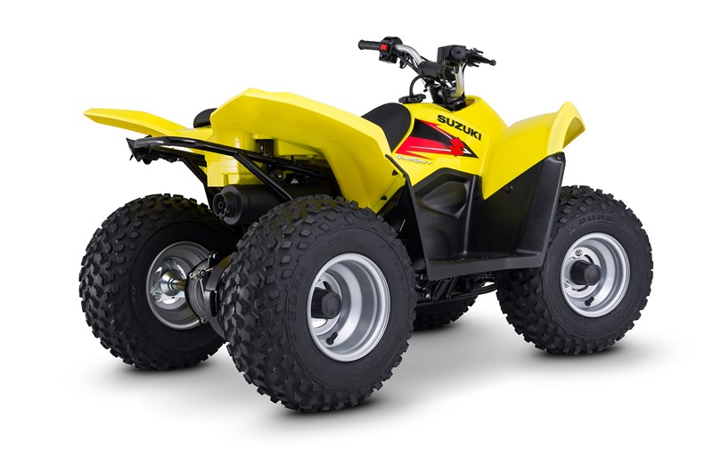 2018 Suzuki QuadSport Z50 For Sale at CyclePartsNation
