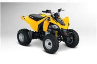 2014 Can-Am DS 250