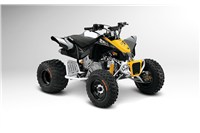 2014 Can-Am DS X 90