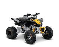 2016 Can-Am DS 90 X