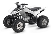 2017 Honda TRX250X