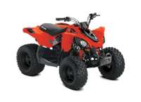 2018 Can-Am DS 90