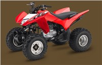 2018 Honda TRX 250X