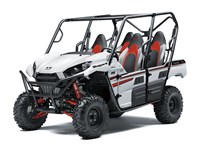 2018 Kawasaki TERYX4™