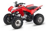 2019 Honda TRX250X